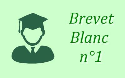 Brevet Blanc n°1